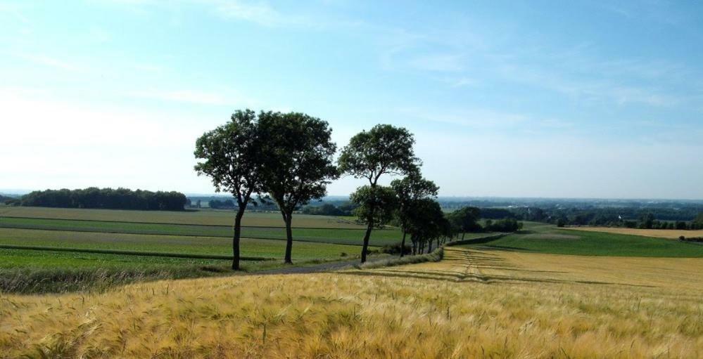 Camping Pommiers Des Trois Pays Licques Екстер'єр фото